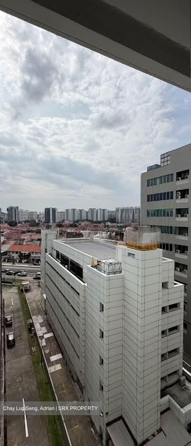Perfect One (D13), Factory #588089641